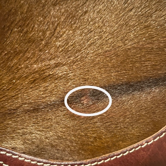 Rugby Ralph Lauren Saddle Bag - Taylor Swift - Picture 2 of 11